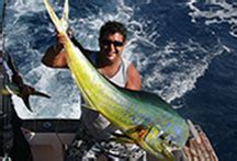 Reef Kingfish Fishing Charters Sydney .